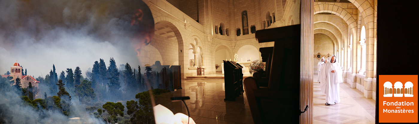 Image_FDM4